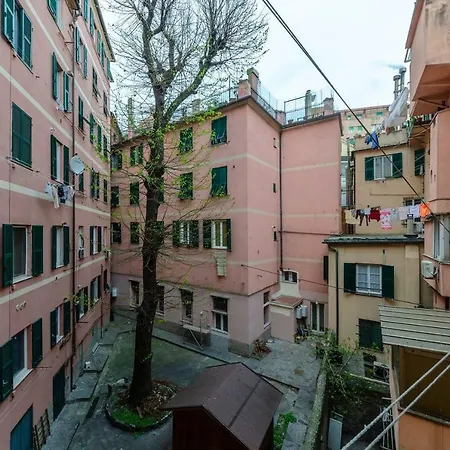 Hintown A Due Passi Dal Gaslini E Dal Mare